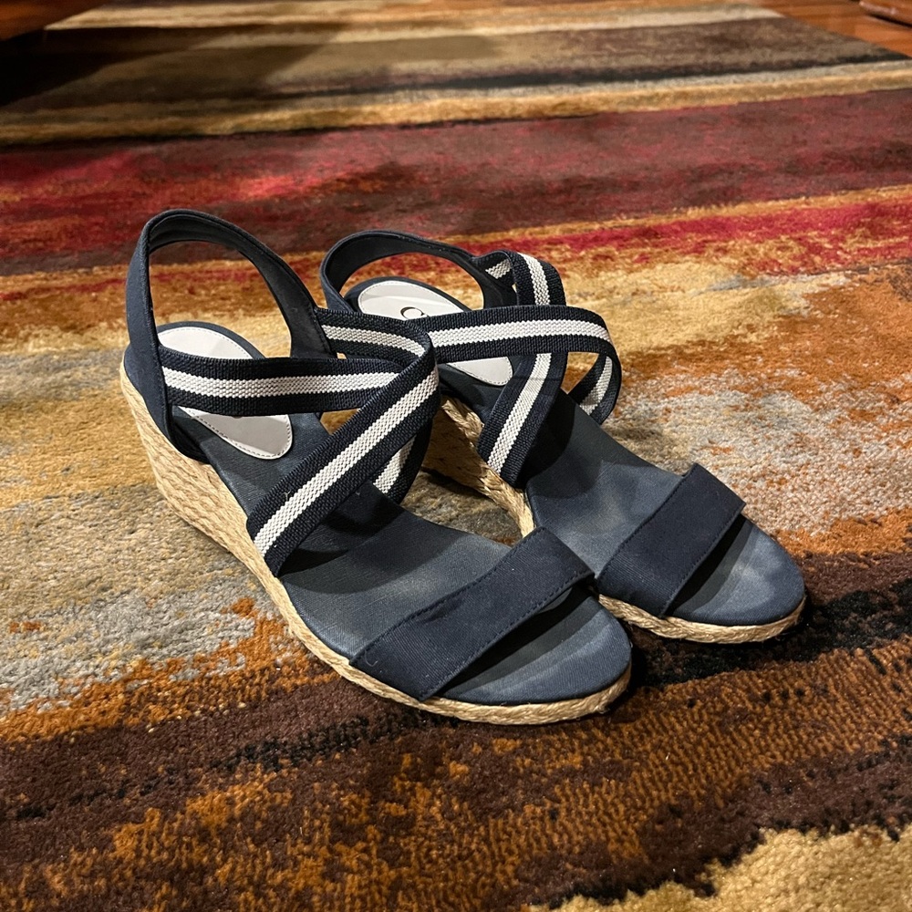 Navy Wedge Sandals with Striped Straps